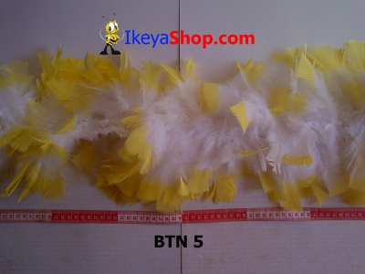 BTN 5  large2